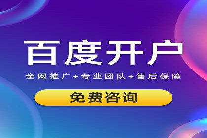 竞价推广策略解析：实战案例分析